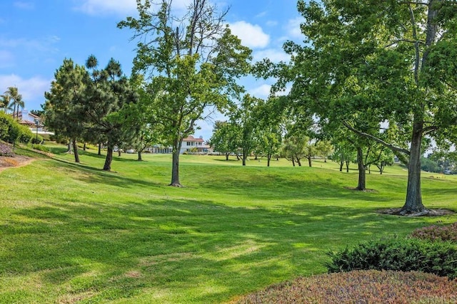 5015 Alicante Way, Oceanside, CA 92056 - view of home's community featuring a yard