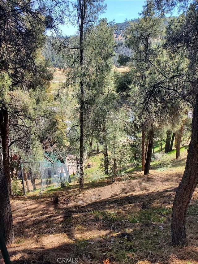 1400 Pinetree Dr, Frazier Park, CA 93225 - photo 6