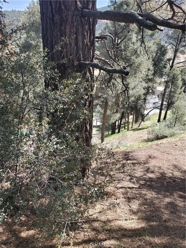 1400 Pinetree Dr, Frazier Park, CA 93225 - photo 8