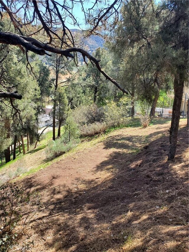1400 Pinetree Dr, Frazier Park, CA 93225 - photo 9