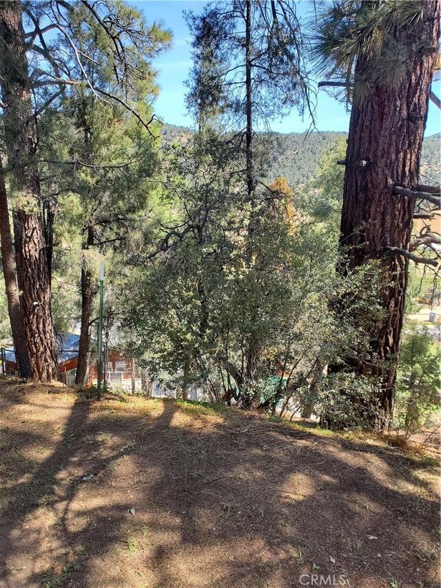 1400 Pinetree Dr, Frazier Park, CA 93225 - photo 3