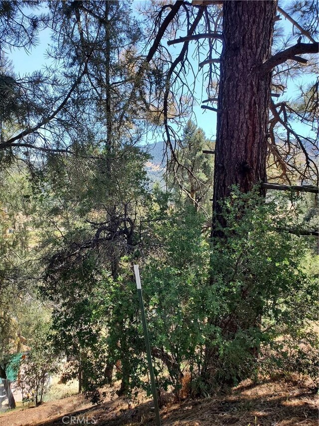 1400 Pinetree Dr, Frazier Park, CA 93225 - photo 12