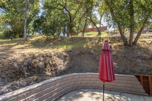 8390 Curbaril Ave, Atascadero, CA 93422 - view of yard