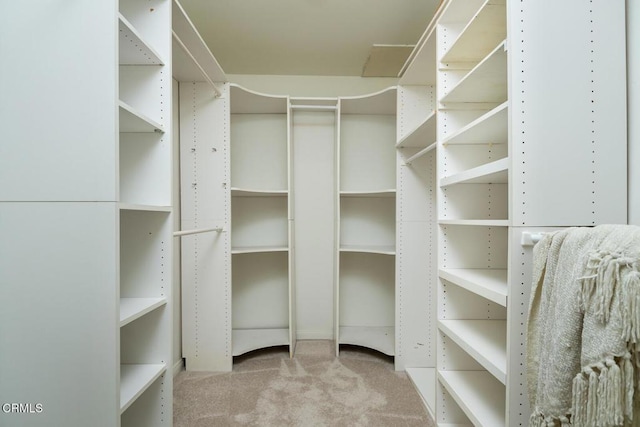 10503 Jimenez St, Sylmar, CA 91342 - spacious closet featuring carpet flooring