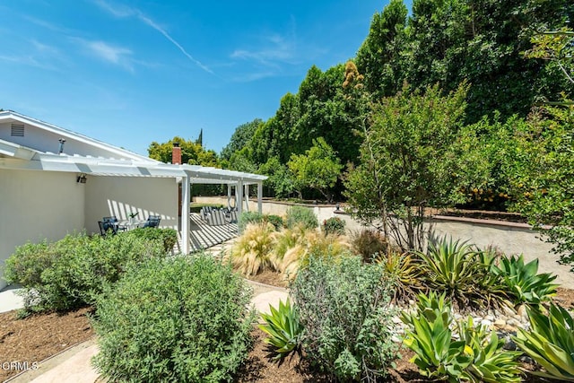 10503 Jimenez St, Sylmar, CA 91342 - view of yard