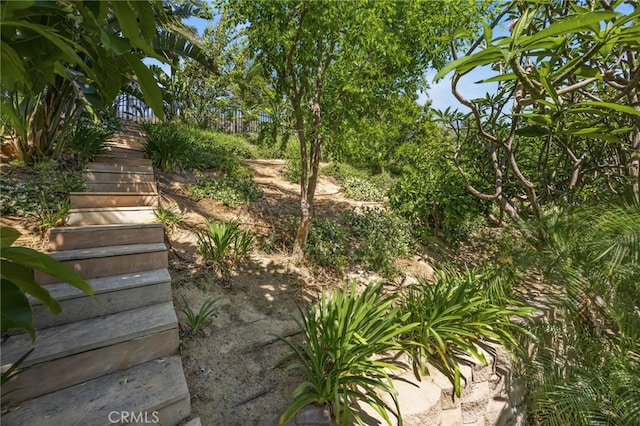 4267 Carnegie Ct, Riverside, CA 92505 - view of yard with stairway