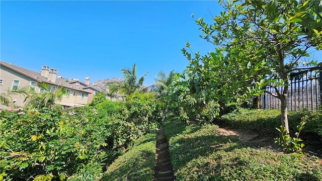 4267 Carnegie Ct, Riverside, CA 92505 - view of yard