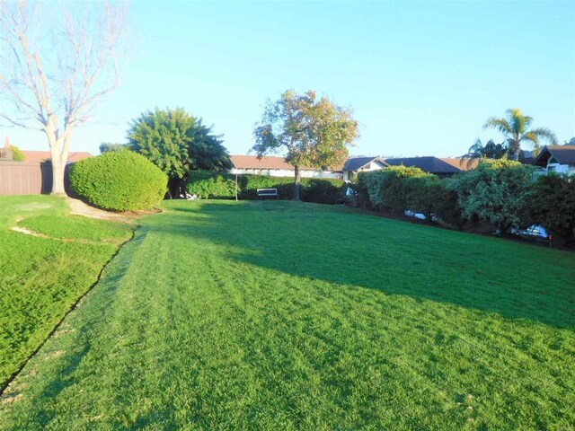 2556 Ocean Cove Dr, Cardiff By The Sea, CA 92007 - view of yard
