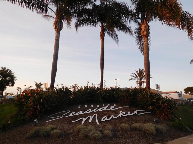 2556 Ocean Cove Dr, Cardiff By The Sea, CA 92007 - view of yard