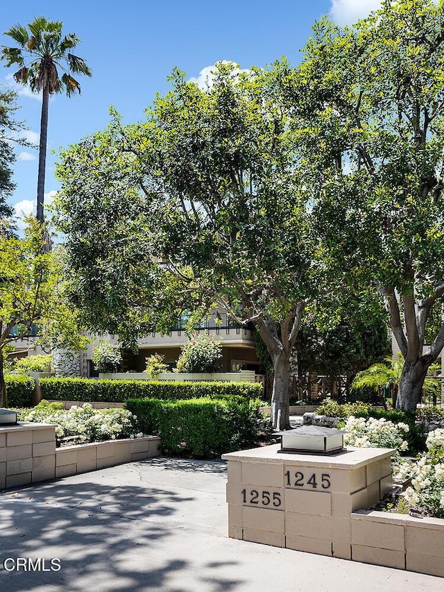 1245 S Orange Grove Blvd Unit 5, Pasadena, CA 91105 - view of community