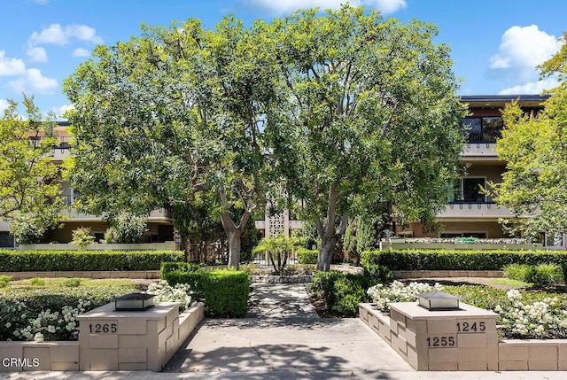 1245 S Orange Grove Blvd Unit 5, Pasadena, CA 91105 - view of property's community