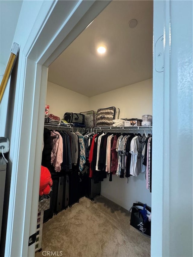 3641 E Moonlight St Unit 51, Ontario, CA 91761 - walk in closet featuring carpet flooring