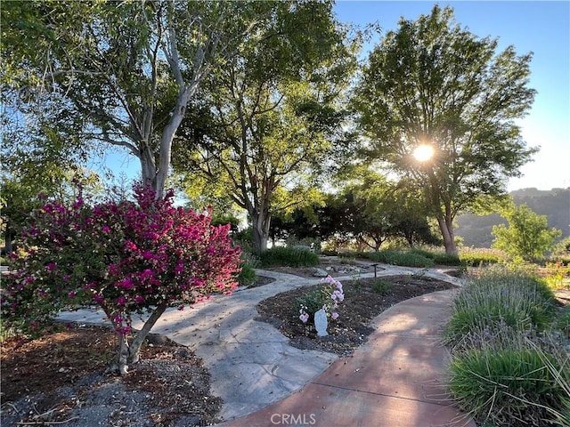 1220 Bassi Dr, San Luis Obispo, CA 93405 - photo 67