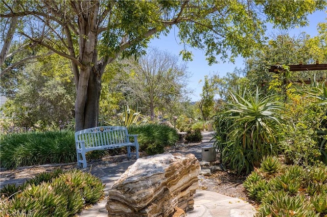 1220 Bassi Dr, San Luis Obispo, CA 93405 - photo 60