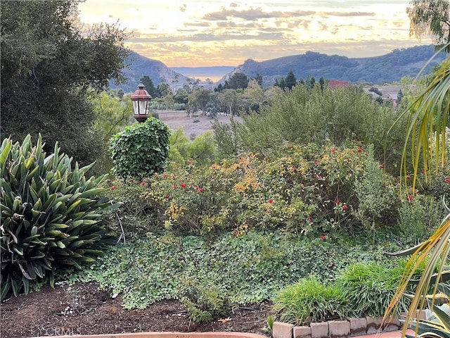 1220 Bassi Dr, San Luis Obispo, CA 93405 - photo 65