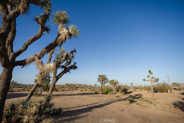 58382 Sunny Sands Dr, Yucca Valley, CA 92284 - view of yard featuring a rural view