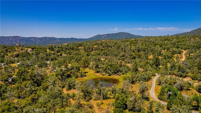 47457 Rd 620, Oakhurst, CA 93644 - photo 56