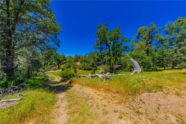 47457 Rd 620, Oakhurst, CA 93644 - photo 45