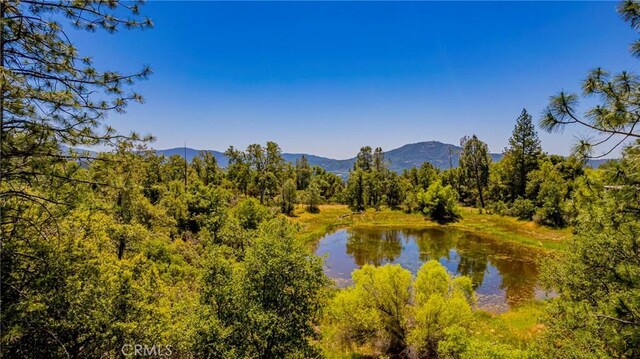 47457 Rd 620, Oakhurst, CA 93644 - photo 53