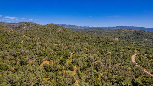 47457 Rd 620, Oakhurst, CA 93644 - photo 49