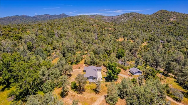 47457 Rd 620, Oakhurst, CA 93644 - photo 46