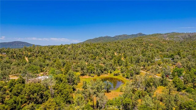 47457 Rd 620, Oakhurst, CA 93644 - photo 54