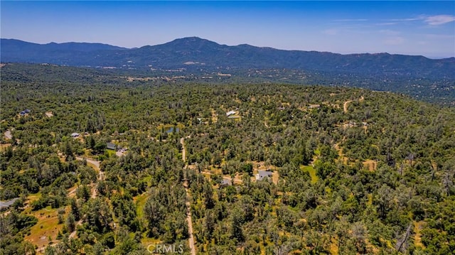 47457 Rd 620, Oakhurst, CA 93644 - photo 48