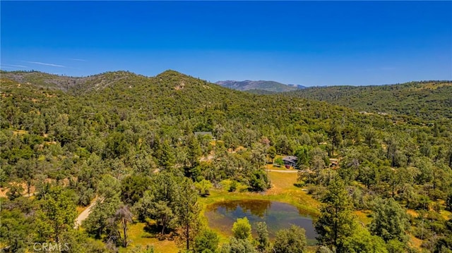 47457 Rd 620, Oakhurst, CA 93644 - photo 55