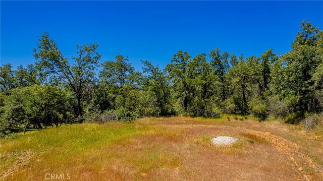 47457 Rd 620, Oakhurst, CA 93644 - photo 58