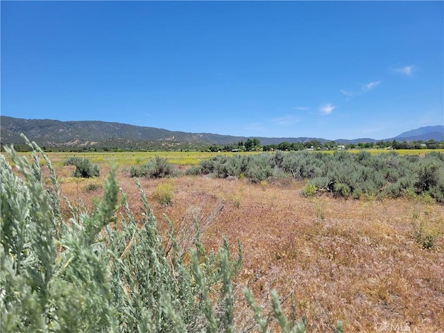 48 Bonita Vis, Anza, CA 92539 - photo 1