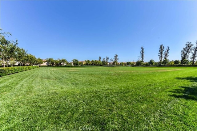 84 Plum Feather, Irvine, CA 92620 - view of green lawn