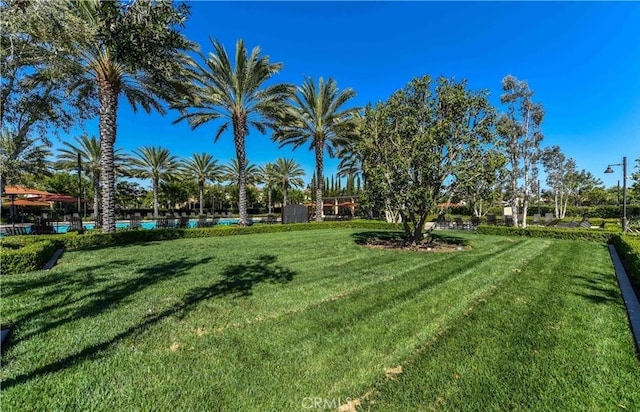 84 Plum Feather, Irvine, CA 92620 - view of green lawn