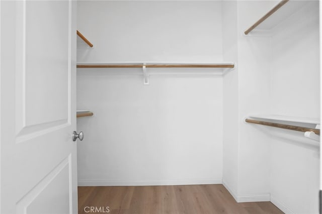84 Plum Feather, Irvine, CA 92620 - walk in closet with wood finished floors