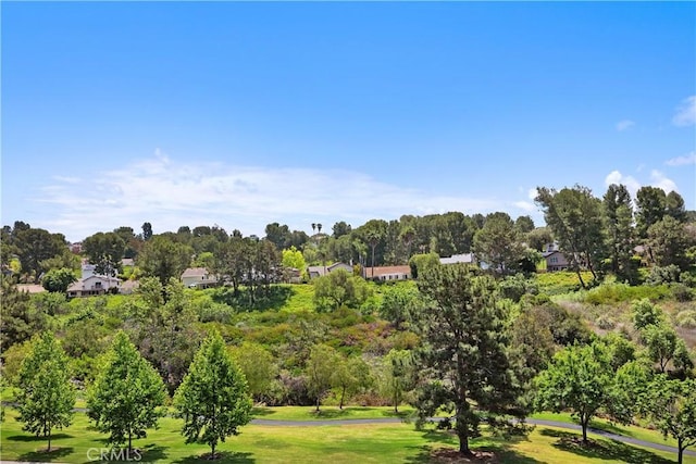 28052 Espinoza, Mission Viejo, CA 92692 - view of property's community featuring view of wooded area and a yard