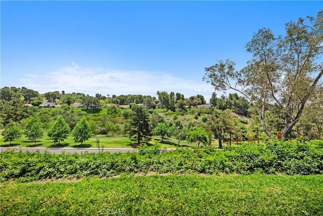 28052 Espinoza, Mission Viejo, CA 92692 - view of yard featuring view of scattered trees
