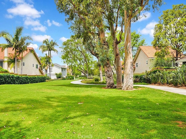 4 Abeto, Irvine, CA 92620 - photo 40