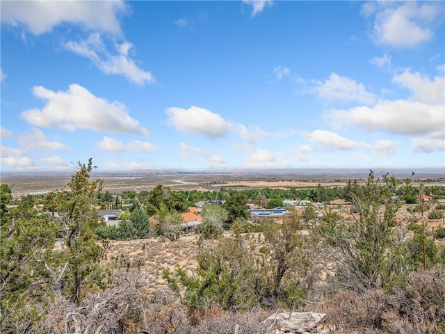 31611 157th St E, Llano, CA 93544 - drone / aerial view