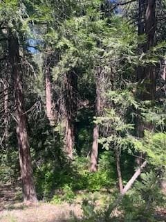 0 Ashlar Rd N, Crestline, CA 92325