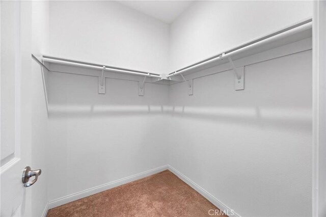 2421 N Feather Hill Dr, Orange, CA 92867 - spacious closet with carpet