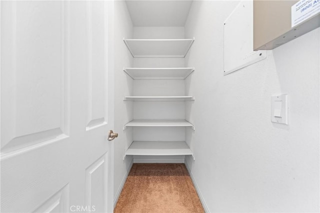 2421 N Feather Hill Dr, Orange, CA 92867 - walk in closet with carpet floors