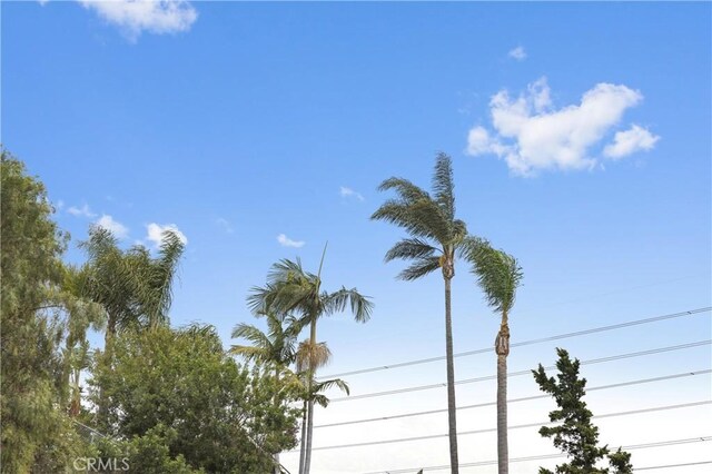 2421 N Feather Hill Dr, Orange, CA 92867 - exterior view