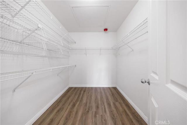 2517 Tequestra, Tustin, CA 92782 - spacious closet with wood finished floors