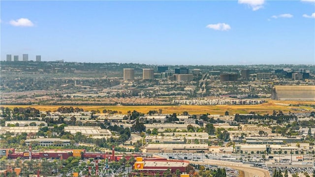 2517 Tequestra, Tustin, CA 92782 - city view