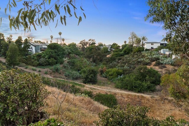 1738 33rd St, San Diego, CA 92102 - view of yard