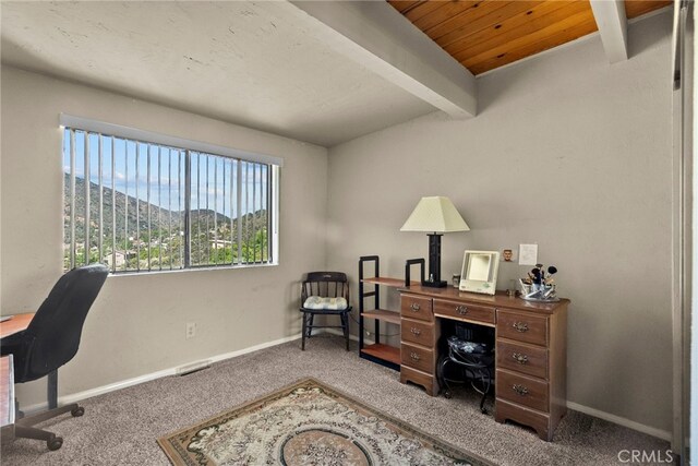 3520 Santa Clara Trl, Frazier Park, CA 93225 - photo 24
