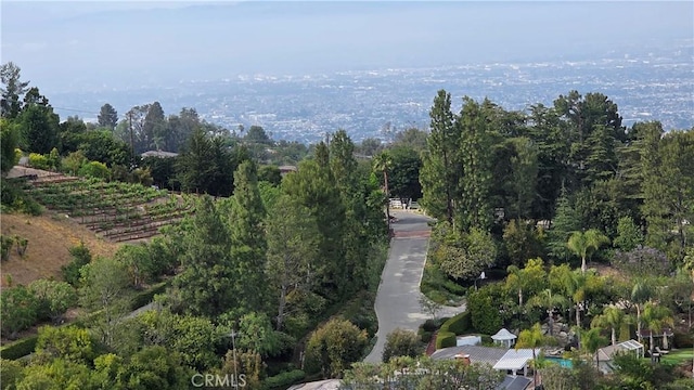 3227 Crownview Dr, Rancho Palos Verdes, CA 90275