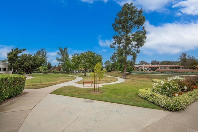 16182 Selva Dr, San Diego, CA 92128 - view of home's community featuring a yard