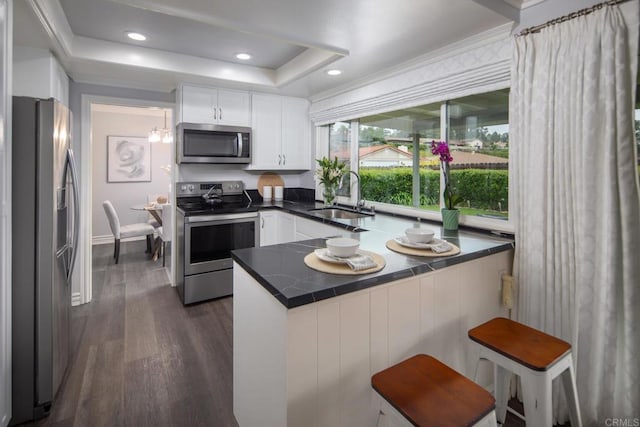16182 Selva Dr, San Diego, CA 92128 - kitchen featuring appliances with stainless steel finishes, a sink, a peninsula, white cabinets, and dark wood-style floors