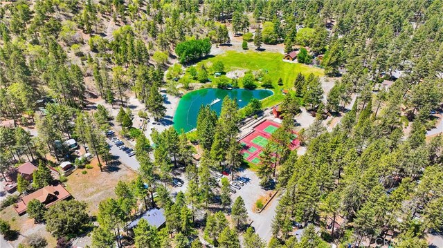 1381 Laura St, Wrightwood, CA 92397 - photo 57