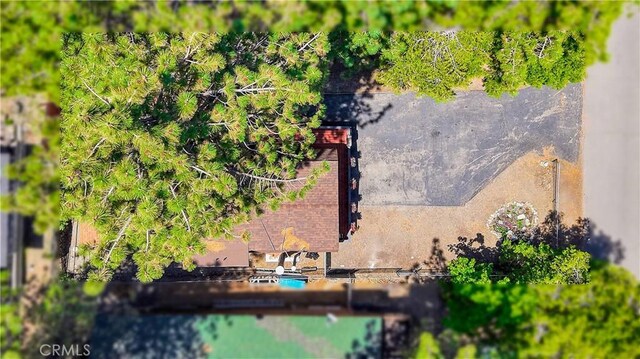 1381 Laura St, Wrightwood, CA 92397 - photo 52